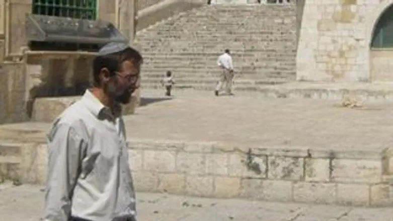 פייגלין על הר הבית