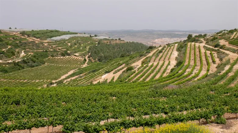 Gush Etzion, Israel