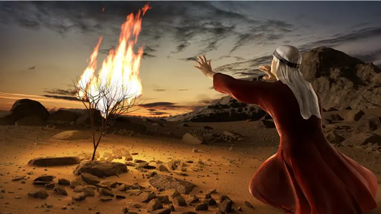 סנה בוער אילוסטרציה