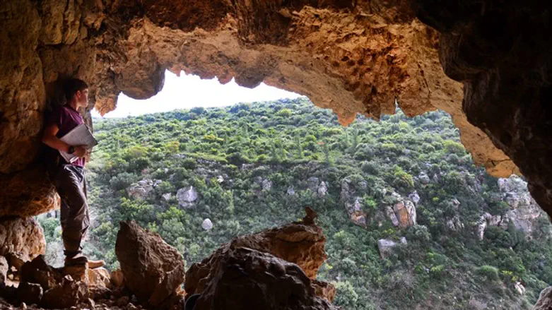 The cave where the skull was found.