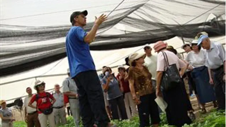 משתתפי הצעדה. היום