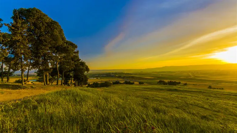 אילוסטרציה