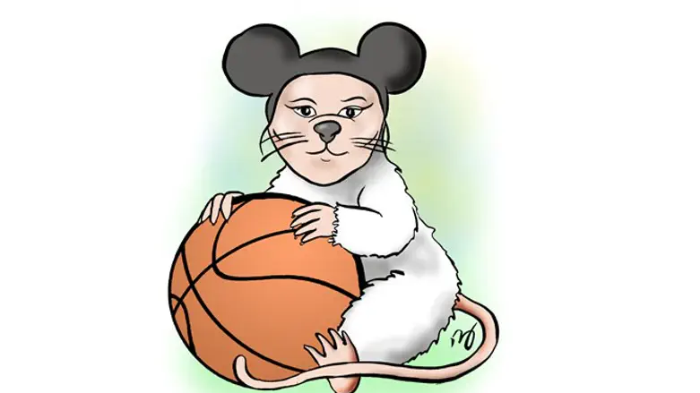 כנראה שגאווה לאומית זה דבר שמתפתח בגיל צעיר.