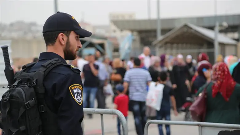 היערכות גבוהה