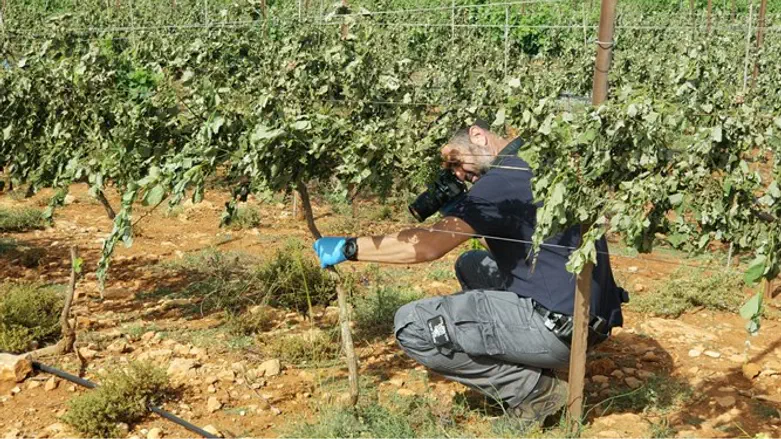 agricultural terror