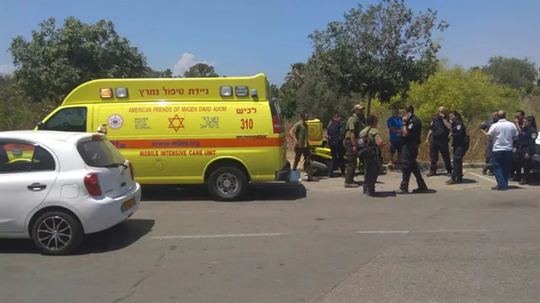 צוותי החיפוש באתר