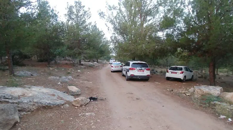 יער מודיעין