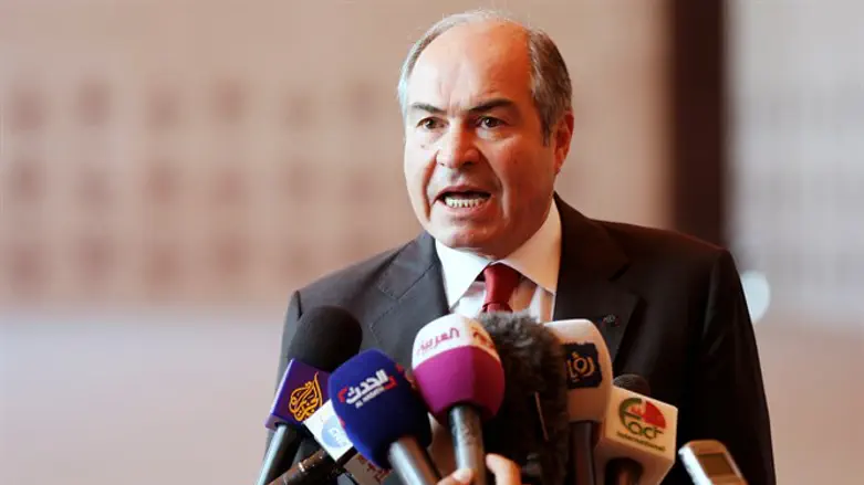 האני אל-מולקי