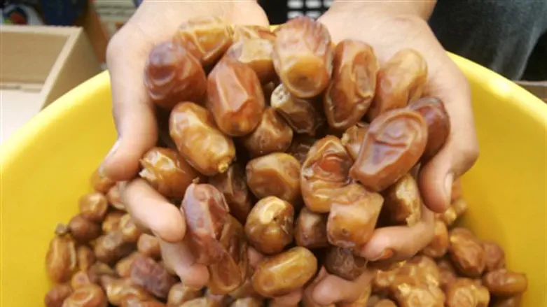 Финики. Иллюстрация 