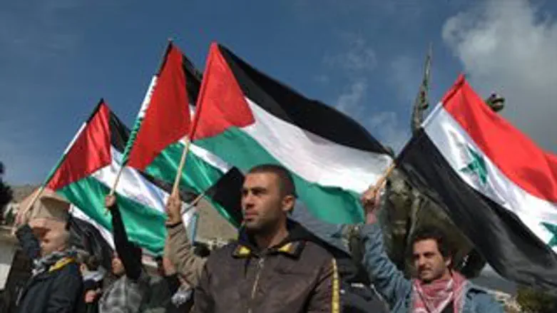 תושבים ממג'דל שמס מפגינים