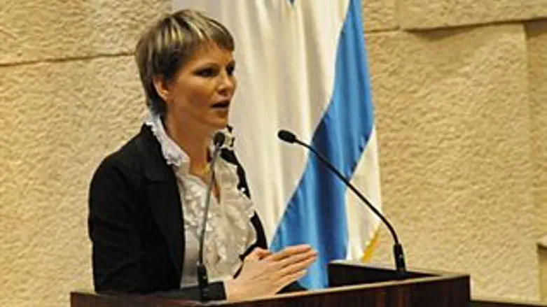 ח"כ מיכאלי בכנסת