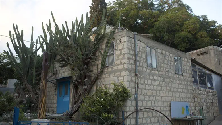 צביעות וצבעים בעין הוד