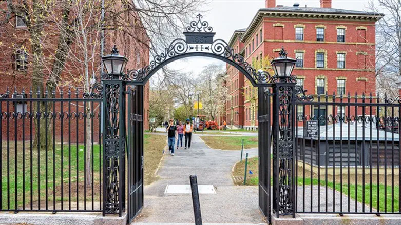 Harvard University