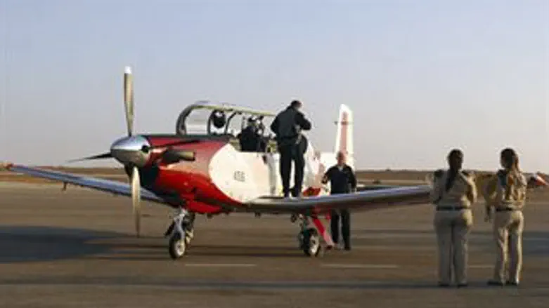 עפרוני על המסלול. אילוסטרציה