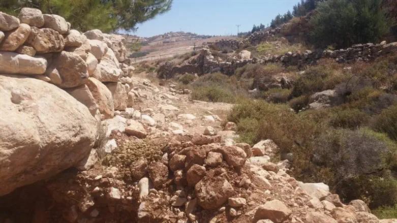 Signs of excavations at Ein Hamra