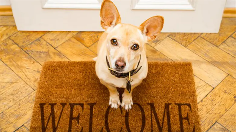 Switzerland welcomes radicalization