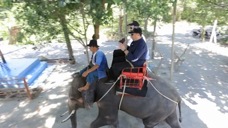 בזמן שנותר לטיסה: טיול פילים