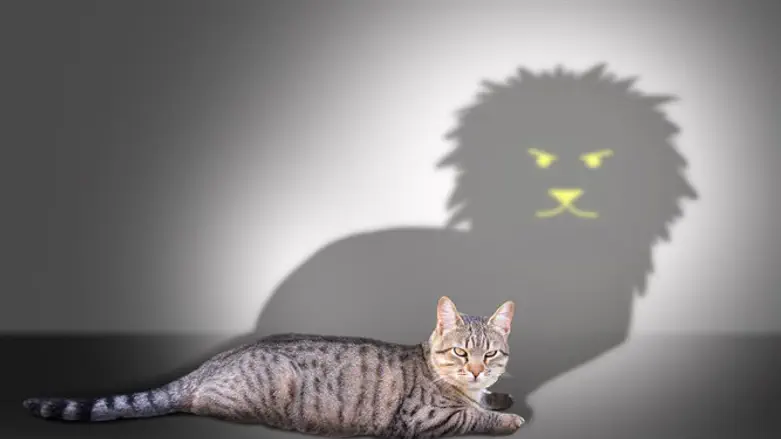 Krugman's comparison