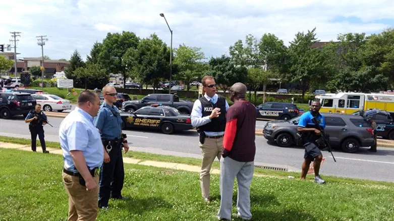 מרילנד. ארכיון