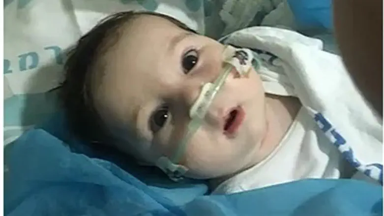 תהילה אללוף