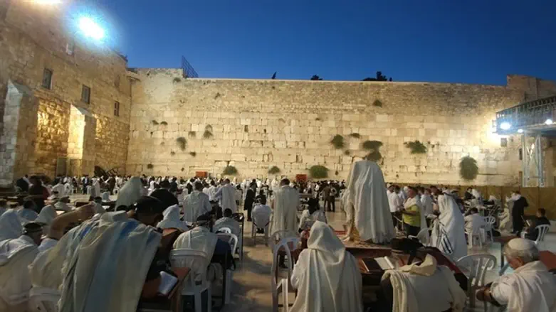 הכותל המערבי. ארכיון