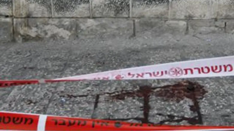 זירה. ארכיון.