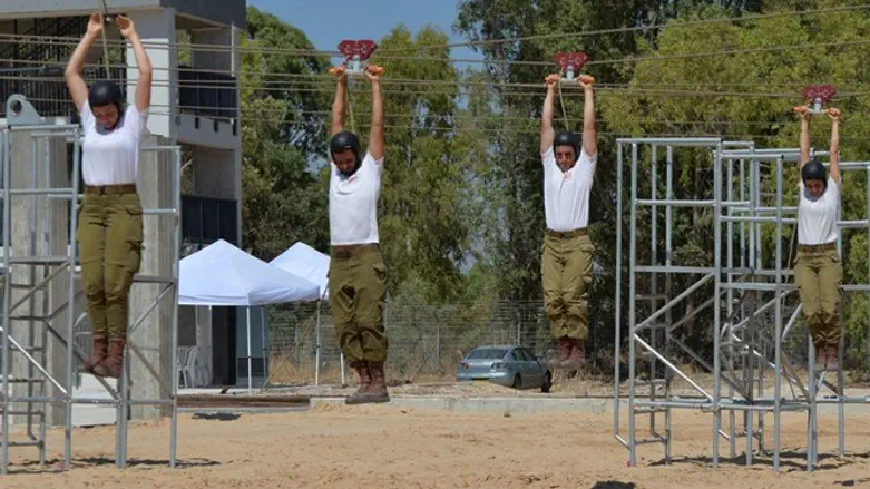 צונחים על כל הקופה