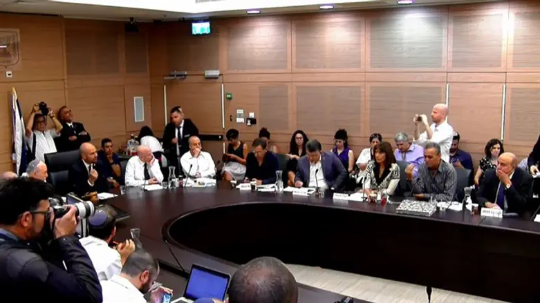 Hearing on Nationality Law