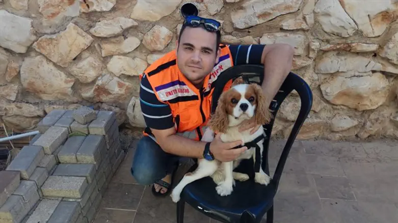 Ori and Toffy in Tzfat