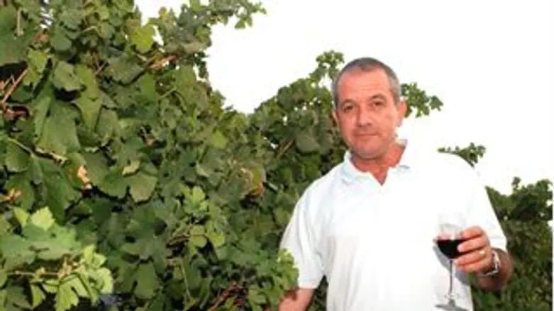 עליה מתמדת. דותן