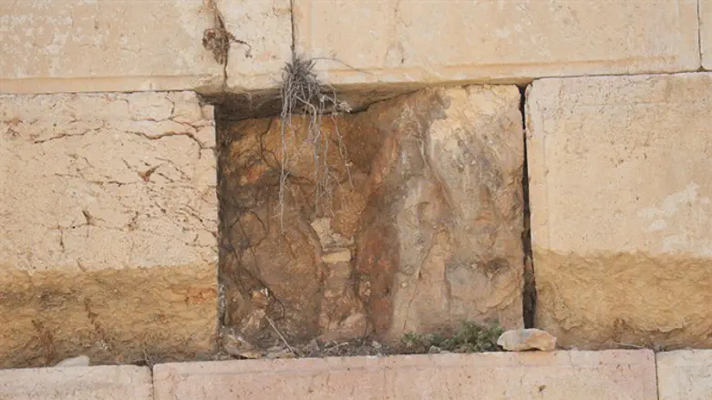 Spot from where boulder fell at Western Wall
