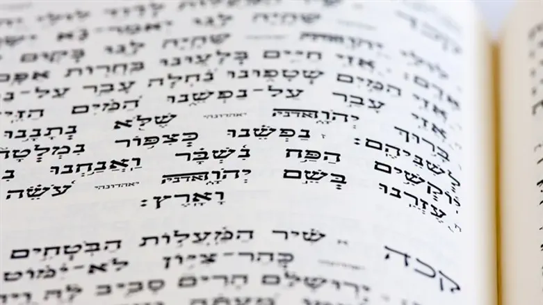 Psalms