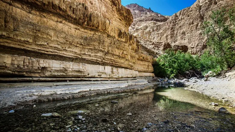 Arugot River valley in Dead Sea area