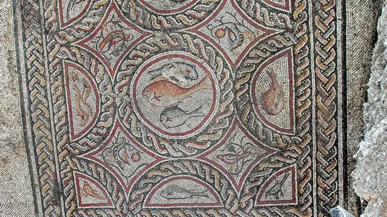 הפסיפס החדש שנחשף בלוד