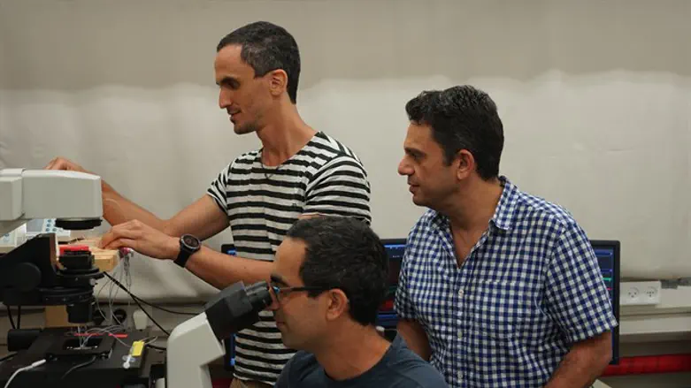 במעבדה של ד"ר אלון זסלבר