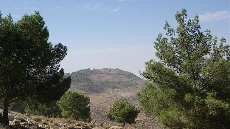 Mount Nebo