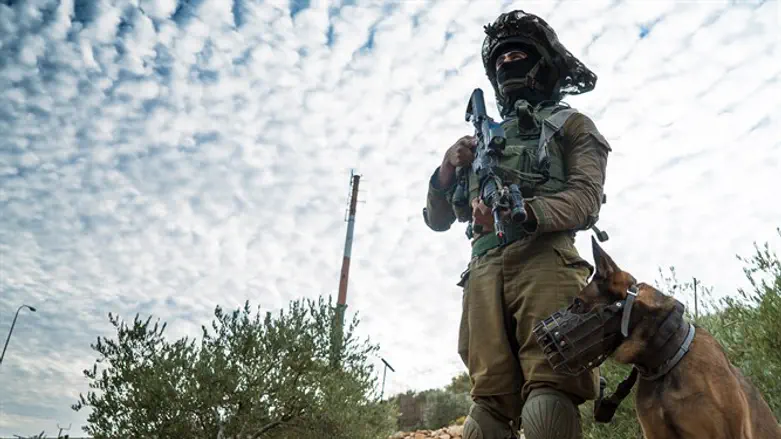 תרגיל ביחידת הקומנדו