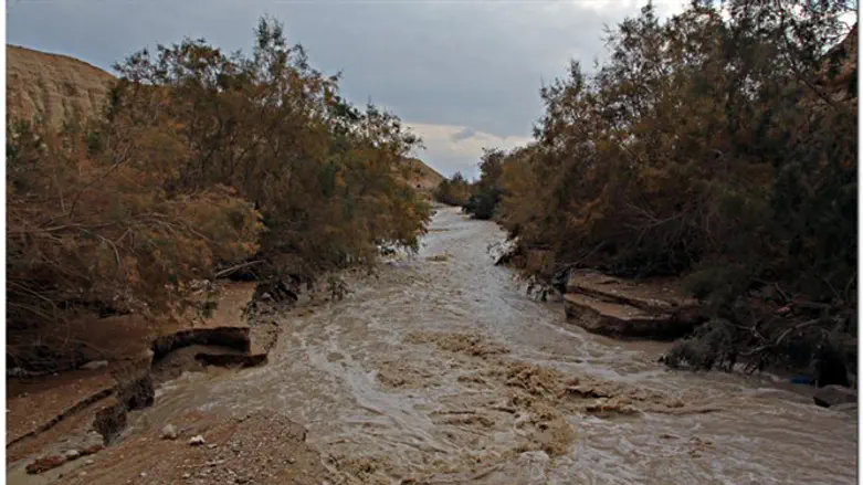 אילוסטרציה