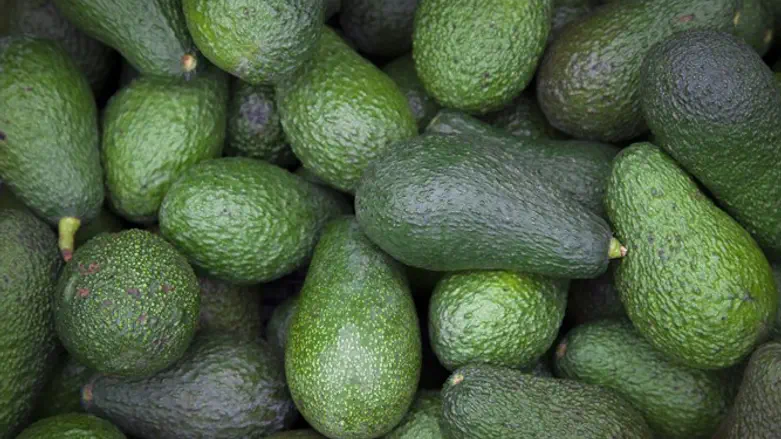 Avocados