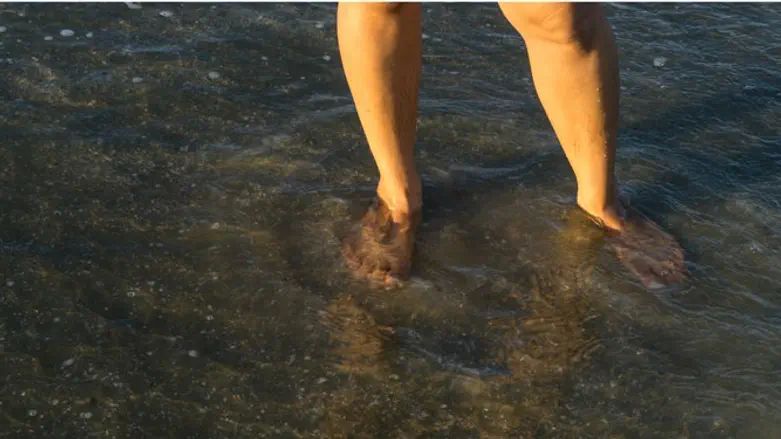 אילוסטרציה