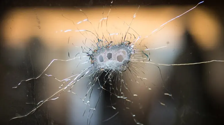Bullet holes in windshield