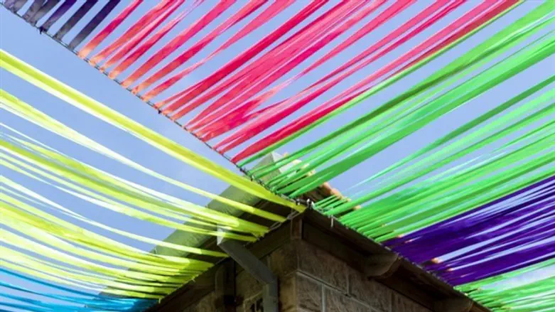 שדירת החוטים