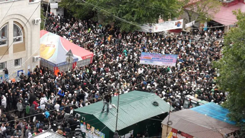 רבבות היהודים באומן לקראת ראש השנה