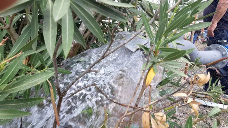 ניתן לומר בזהירות שאפשר לחזור ולטייל במגוון רחב של אתרים בצפון. הזרמת מים לנחלים