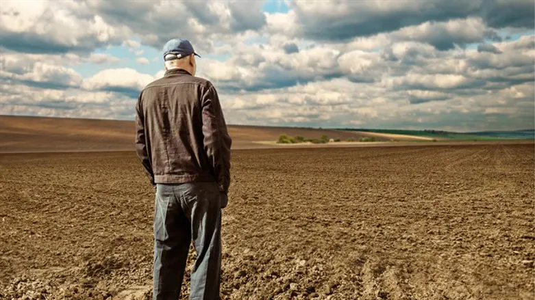 Strike of the Lone Farmer