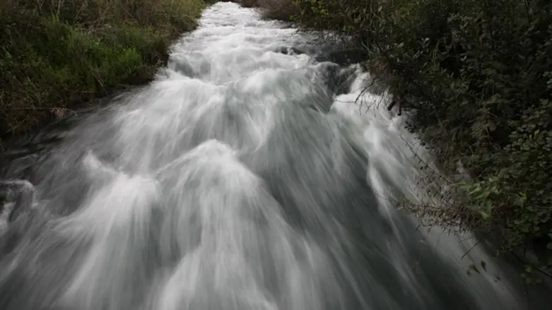 Tel Dan Nature Reserve