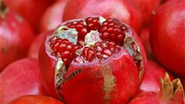 [pomegranates