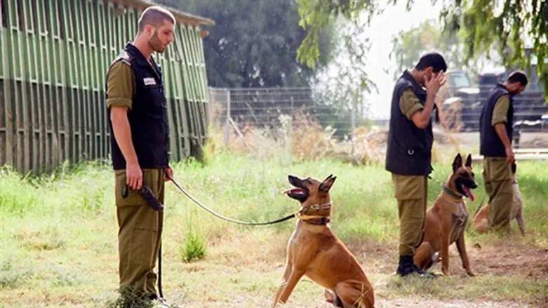 תמהיל של מקצועיות ואכפתיות