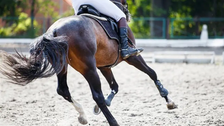 horseback riding