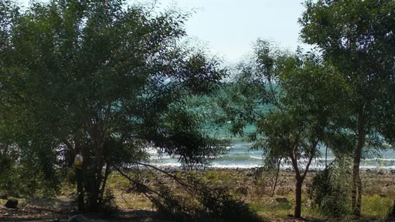  אי של יציבות. כנרת בבצורת